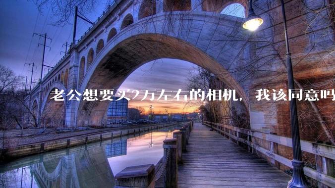 老公想要买2万左右的相机，我该同意吗？