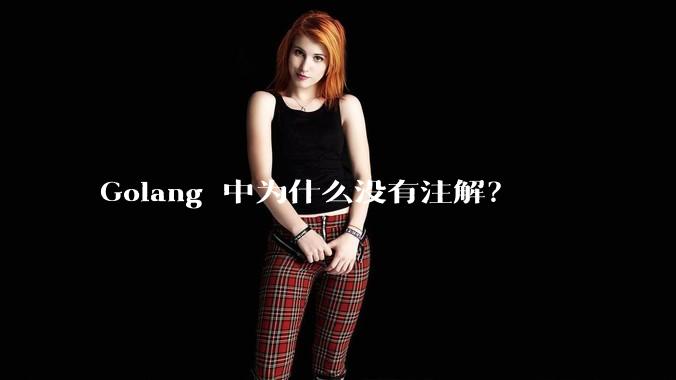 Golang 中为什么没有注解？