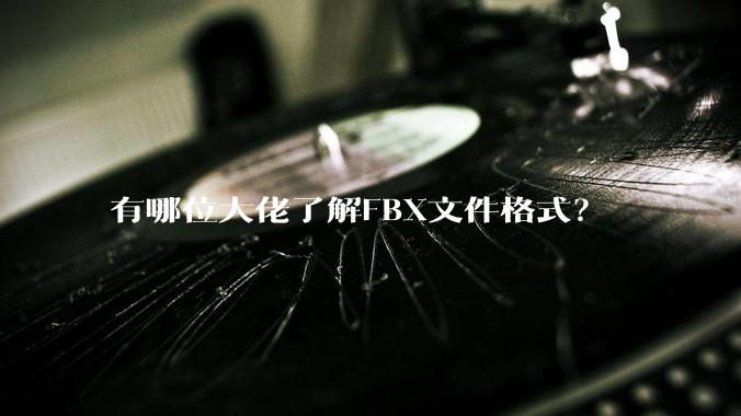 有哪位大佬了解FBX文件格式？