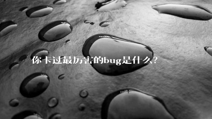 你卡过最厉害的bug是什么？